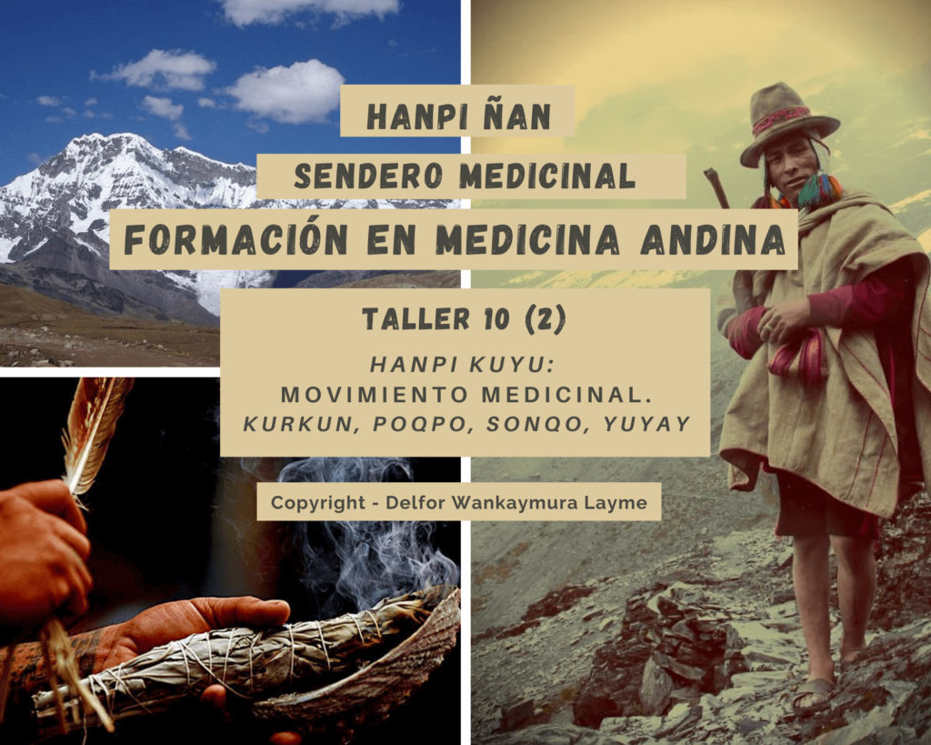 medicina-andina-T10-2