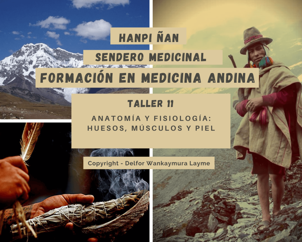 medicina-andina-T11-a